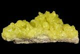 Sulfur Crystals on Matrix - Bolivia #66300-1